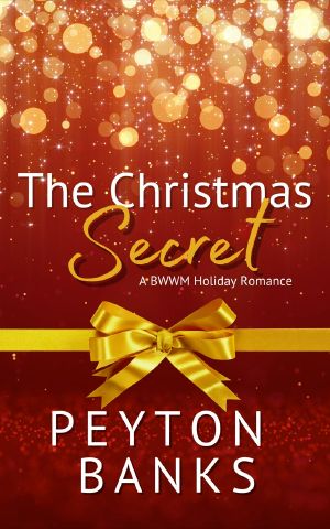 The Christmas Secret