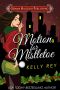 Mistletoe & Misdemeanors (a Jamie Winters Mysteries holiday short story)