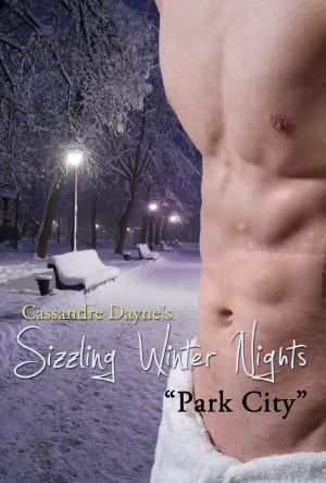 Sizzling Winter Nights · Park City