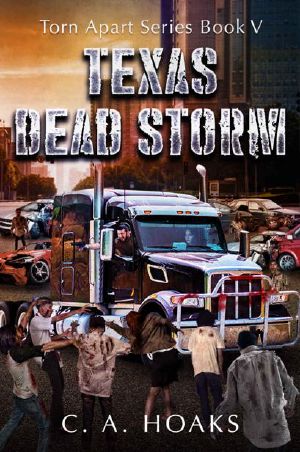 Torn Apart Series | Book 5 | Texas Dead Storm