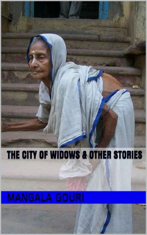 The City of Widows & Other Stories