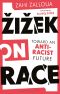 Žižek on Race