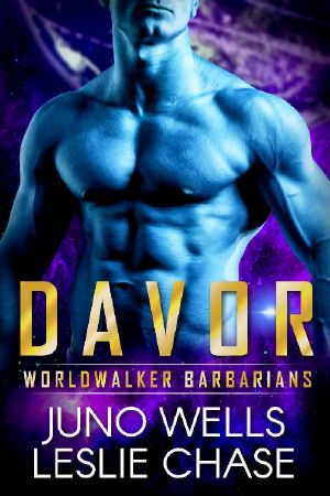 Davor (Worldwalker Barbarians Book 2)