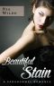 Beautiful Stain · A Paranormal Romance