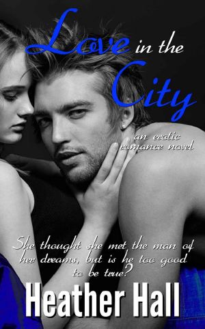 Love in the City, an Erotic Romance Novel