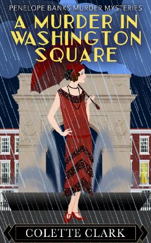 A Murder in Washington Square: A 1920s Historical Mystery