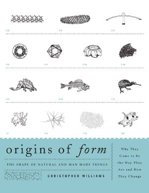 Origins of Form