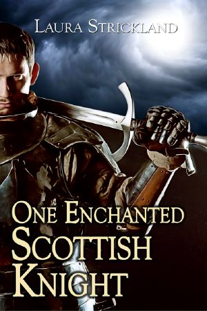 One Enchanted Scottish Knight