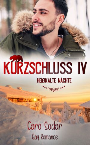 Kurzschluss IV - Heißkalte Nächte