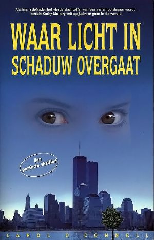 Waar Licht in Schaduw Overgaat