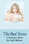 The Bed Store