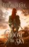 Choose the Sky: A Medieval Romance (Swordcross Knights Book 2)