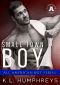 Small Town Boy: The All American Boy Series