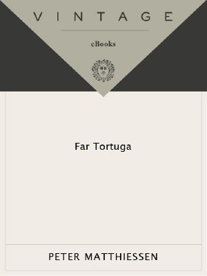 Far Tortuga