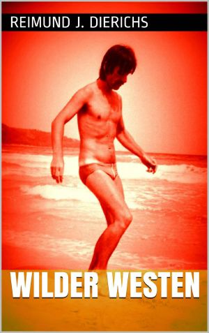 Wilder Westen