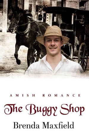 The Buggy Shop (Hollybrook Amish Romance)