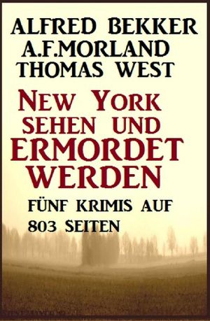 New York sehen und ermordert werden · 5 Krimis