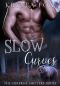 Slow Curves (Surprise Shifters Book 3)