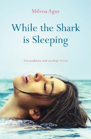 While the Shark Is Sleeping