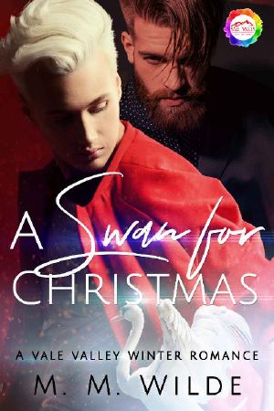 A Swan for Christmas · A Winter Romance (Vale Valley Book 4)