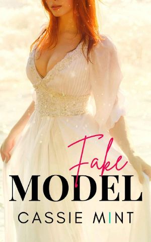 Fake Model (Twin Swap Book 3)