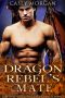 Dragon Rebel's Mate: A Brother's Best Friend Paranormal Romance