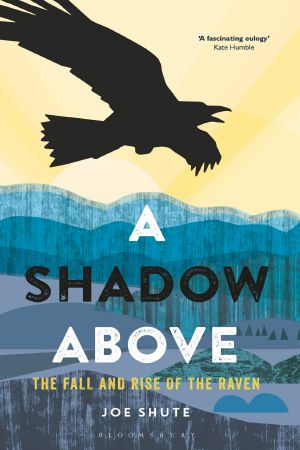 A Shadow Above