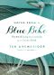 Notes from a Blue Bike