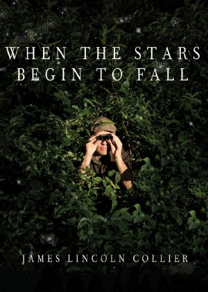 When the Stars Begin to Fall