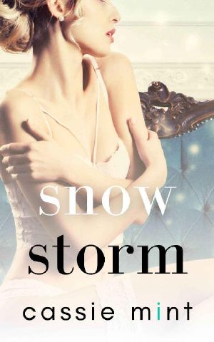 Snow Storm (Winter Warmers)