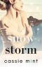 Snow Storm (Winter Warmers)