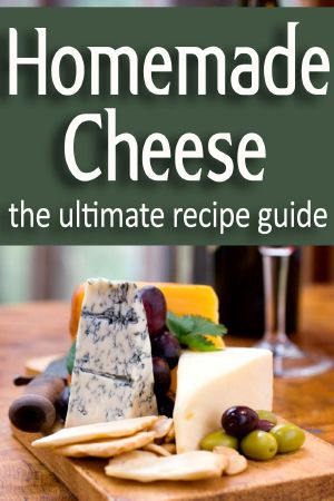 Homemade Cheese - The Ultimate Recipe Guide