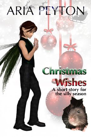 Christmas Wishes - a Short Story for the Silly Season