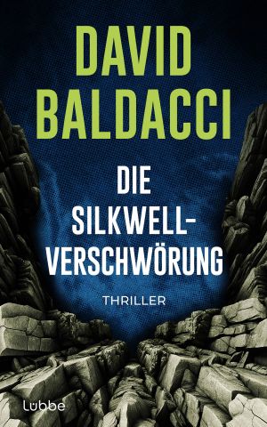 Die Silkwell-Verschwörung: Thriller. Ein Mord an einer CIA-Agentin. Amerikas schmutzigste Geheimnisse. Ein neuer Fall für Travis Devine (Die Travis-Devine-Serie 2) (German Edition)