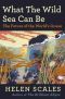 What the Wild Sea Can Be · The Future of the World’s Ocean