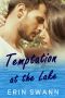 Temptation at the Lake: A small town family romance (Clear Lake Book 1)