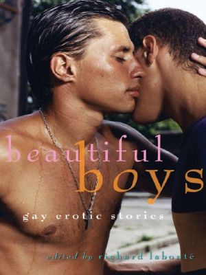 Beautiful Boys · Gay Erotic Stories