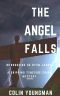 THE ANGEL FALLS: Introducing DC Ryan Jarrod in a gripping Tyneside crime mystery (Ryan Jarrod Series Book 1)