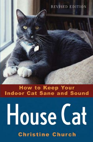 How to Keep Your Indoor Cat Sane and Sound