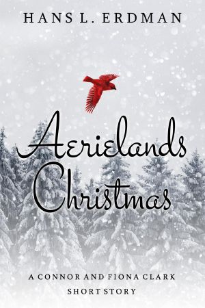 Aerielands Christmas