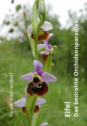 Eifel--Das bedrohte Orchideenparadies