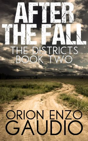 After the Fall: The Districts Book Two