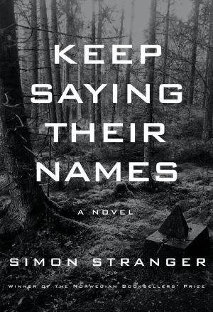 Keep Saying Their Names, A novel