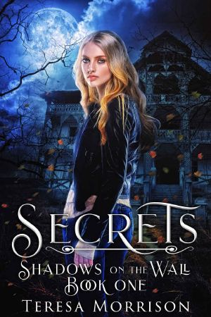 Shadows on the Wall · Book One · Secrets