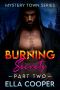 Burning Secrets: A Small Town Mountain Man Suspenseful Romance (Mystery Town Part Two)