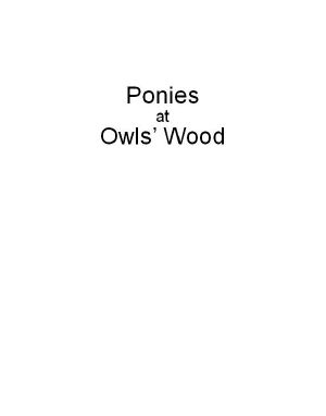 Ponies at Owls' Wood