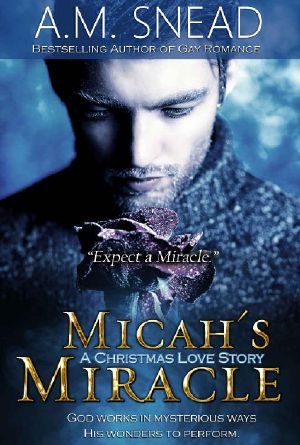 Micah's Miracle · a Christmas Love Story