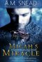 Micah's Miracle · a Christmas Love Story
