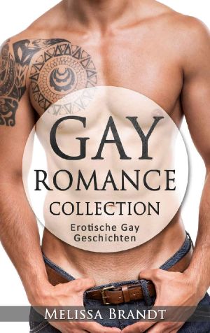 Gay Romance Collection