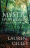 Mystic Wonderful : A Hell Theory Novella